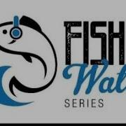 Hozier Movement Reaction Fish Out Of Water Series