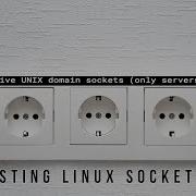Understanding Linux Sockets And The LDAPI Interface