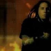 P O D School Of Hard Knocks Video