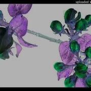 FREE FOR PROFIT PRETTIFUN GINSENG MISOGI OK TYPE BEAT