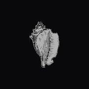 Xonsh Um Shell Para Os Amantes De Python