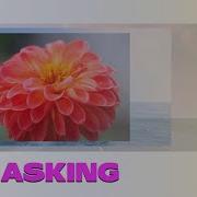 How To Do Image Slide Show By Masking Adobe Animate Image Slide Show Animation By Masking