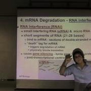 Ch18 2 EukaryoticGene Regulation
