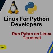 Linux Commands For Python Developers How To Run Python Script On Linux Terminal