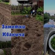 Успеваем сажать полоть а тучи нас гоняют