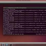 Tutorial Installasi Mapserver Pada Ubuntu