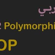 OOP In Arabic 12 Polymorphism