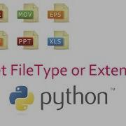 How To Check File Extension Using Python