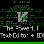 Installing Using Powerful VIM As Text Editor IDE For Python On Parrot Sec Kali Linux