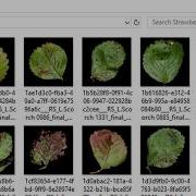 Building An Image Classification Model In Less Than 5 Minutes Without Any Programming