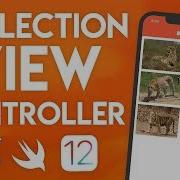 Swift 4 2 Xcode Tutorial Collection View Part 1 IOS 12 Geeky Lemon Development