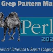 Mastering Perl Regex How To Use Grep For Powerful Pattern Matching