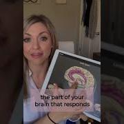 How Trauma Affects The Brain And How EMDR Therapy Helps