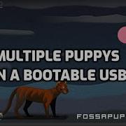 С помощью FrugalPup можно установить несколько операционных систем PuppyLinux на загрузочный USB