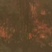 California S Largest Fire Of 2022 Out Of Control