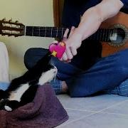 Sen Beni Yine Akustik Anneler Günü Özel Cover Ft Zilli