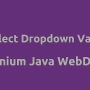 Select DropDown Value Using Selenium Java