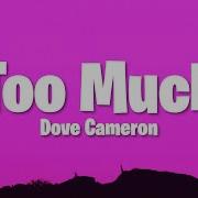 Dove Cameron Too Much Lyrics