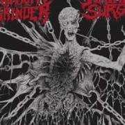 Mammoth Grinder Pulverizer