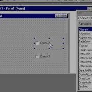 Frames With Options Buttons Check Boxes On Vb6 Vb6 Tutorial 11