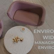 Environment Widget Managing Scence Environment