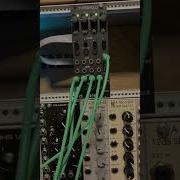 Mutable Instruments Edges Clone Midisid Chiptune Track