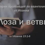 Иоанна 15 1 6 Лоза и ветви Андрей Резуненко