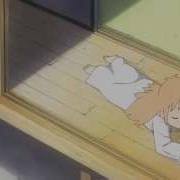 Amv Espace Random Curiosity 720p