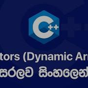C Basics Vectors Dynamic Arrays