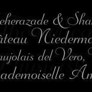 Wagner Script Font Download
