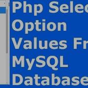 Php How To Get Select Option Value From MySQL Database Using Php With Source Code