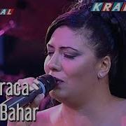 Başka Bahar Işın Karaca