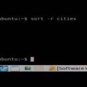 How To Sort The File Contents In Linux