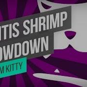 Boom Kitty Mantis Shrimp Showdown
