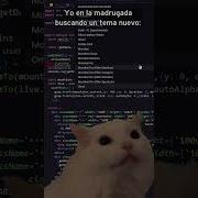 PROGRAMADORES VS LUZ BLANCA Meme Viral Python Programming Programacion Memes