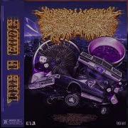 Peeling Flesh The G Code 2024 Full Album