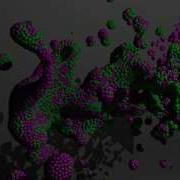 Fluid Particle Collision Test