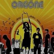 Orgone Hambone 2002
