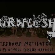 BIRDFLESH LIVE AT FTA TEENAGE MUTILATOR LIVE AT FULL TERROR ASSAULT