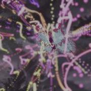 The PhysX Butterfly A HD UDK Render
