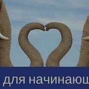 18 Сессии в PHP урок курса по программированию