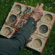 Outdoor Ambient Modular Synthesizer Improvisation