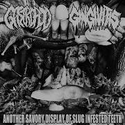 Gastropod Gingivtits Another Savory Display Of Slug Infested Teeth Split 2022