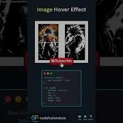 Image Hover Effect Navigation Hover Html Css Html5 Css3 Code Tailwindcss Animation