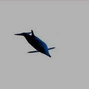 Vertex Animation