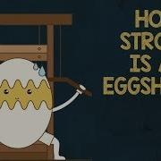 How Strong Is An Eggshell ZIYAD Science Entertainment