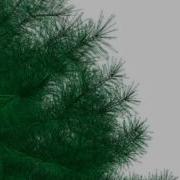 3D Model Of Pine Tree High Poly Review