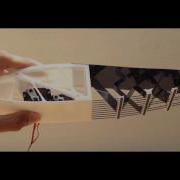 Final Year Project On A Fish Like Morphing Wing Rui Wu