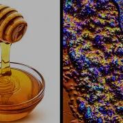 Honey Under The Microscope I Could Not Believe It