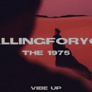 The 1975 Fallingforyou Lyrics Video